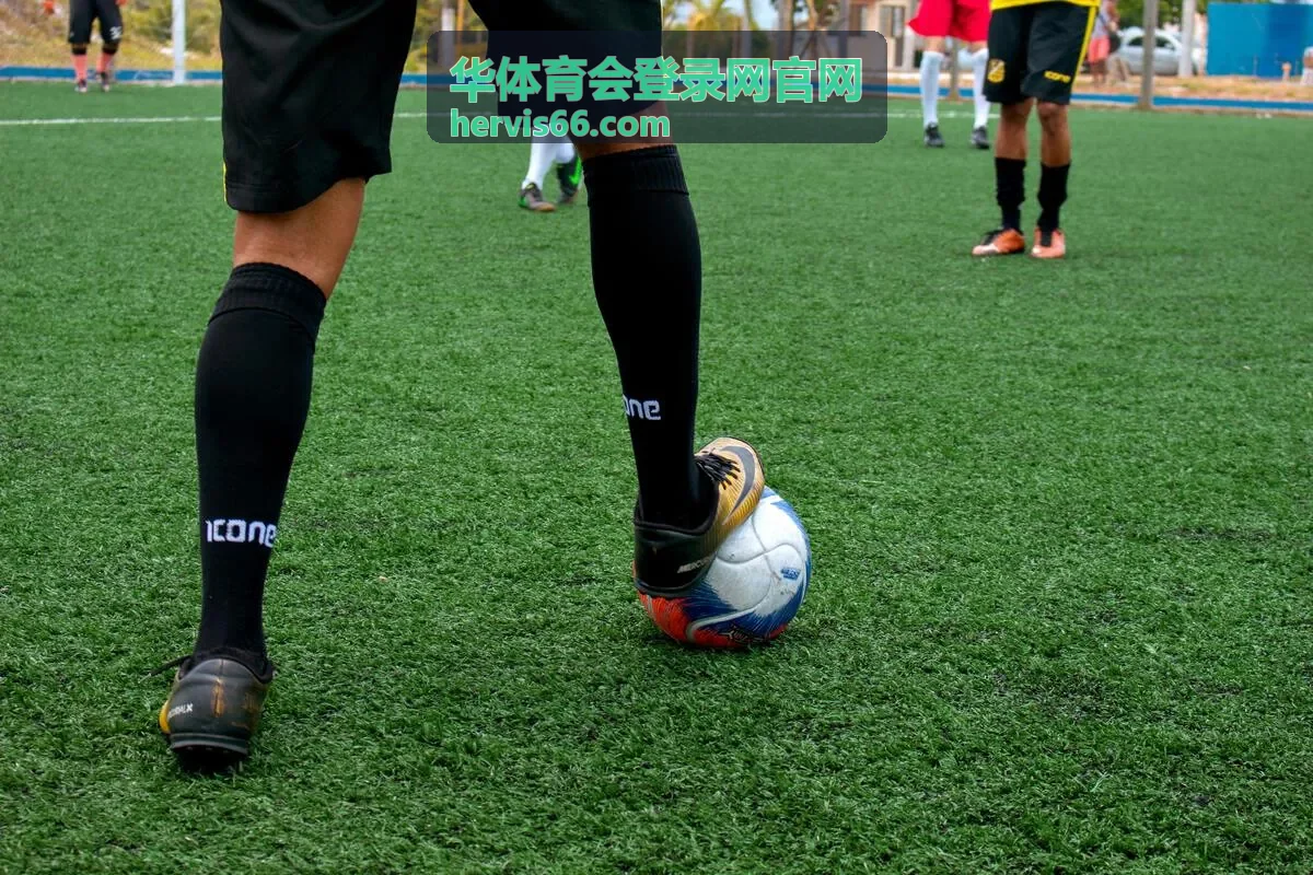 华体育会登录网官网登录入口页面示意