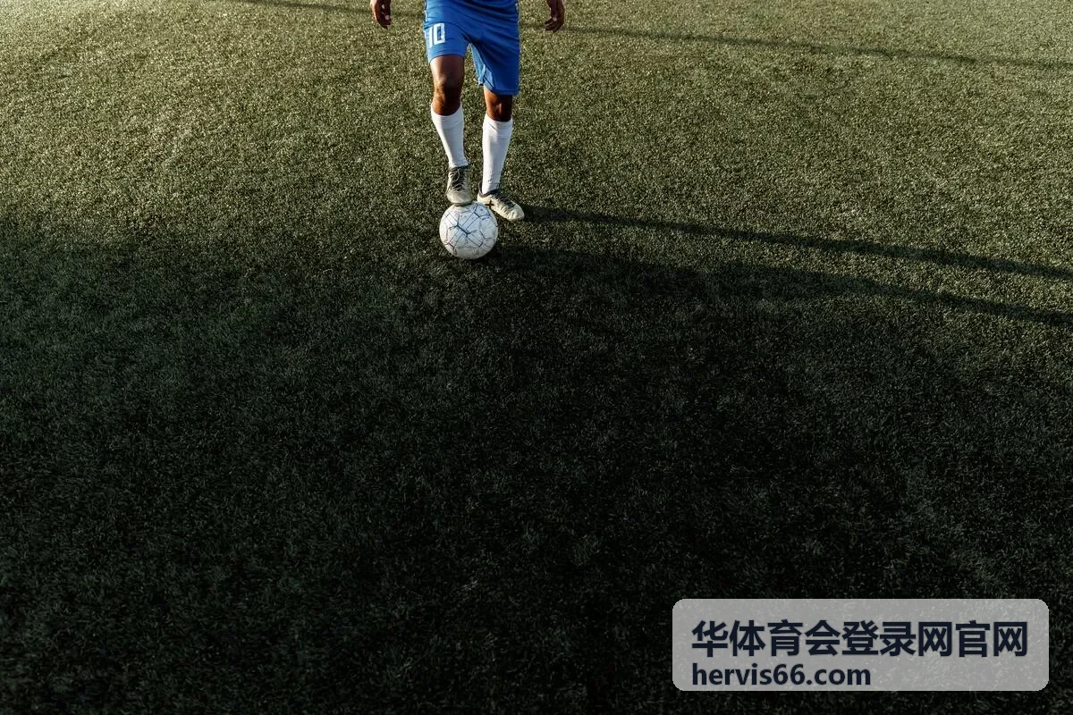 华体育会登录网官网团体用户头像示意