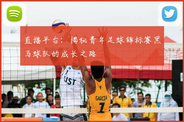 直播平台：揭秘青年足球锦标赛黑马球队的成长之路