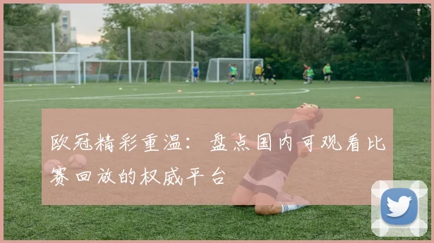 欧冠精彩重温：盘点国内可观看比赛回放的权威平台