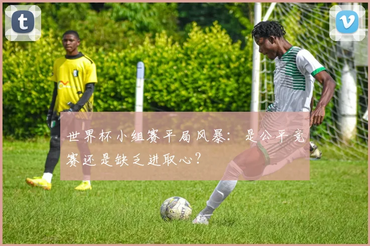 世界杯小组赛平局风暴：是公平竞赛还是缺乏进取心？