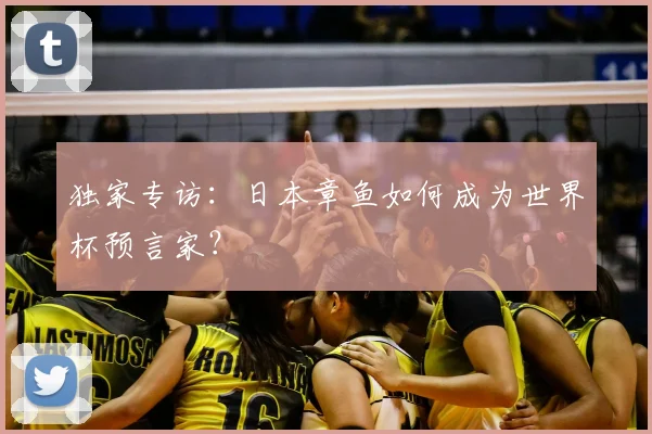 独家专访：日本章鱼如何成为世界杯预言家？