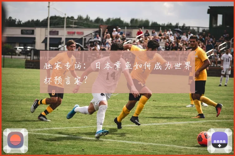 独家专访：日本章鱼如何成为世界杯预言家？