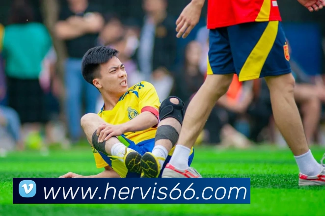 欧宝网服务体系